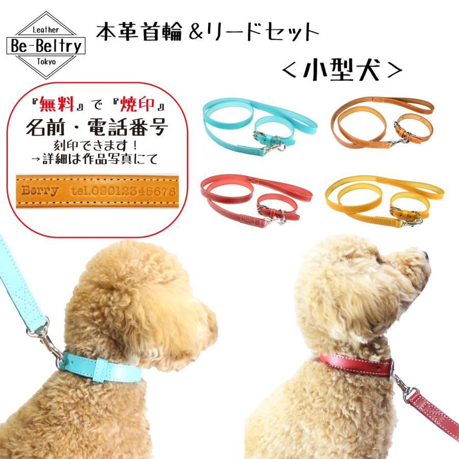 犬 首輪&リード セット 本革 レザー 小型犬 幅17mm 赤 青 黄 キャメル