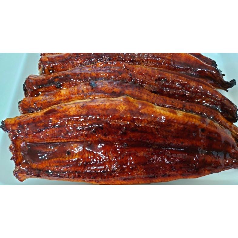 土用の丑の日 うなぎ 超特大うなぎ炭火長蒲焼 (1枚約400g) 5枚 土用の丑の日 うなぎ 超特大うなぎ炭火長蒲焼 (1枚約400g) 5枚