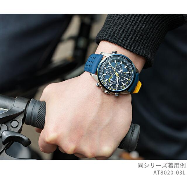 稼動】 CITIZEN シチズン ProMaster プロマスター ブルーエンジェルス
