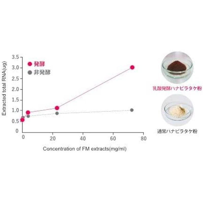 3周年記念キャンペーン定価20,080円再々値下げ植物性乳酸発酵