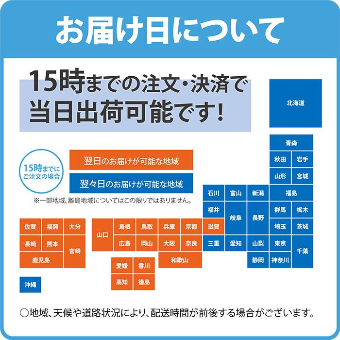 iPad 中古 タブレット mini5 Wi-Fi +Cellular 64GB au(エーユー iPad 中古 タブレット mini5 Wi-Fi +Cellular 64GB au(エーユー
