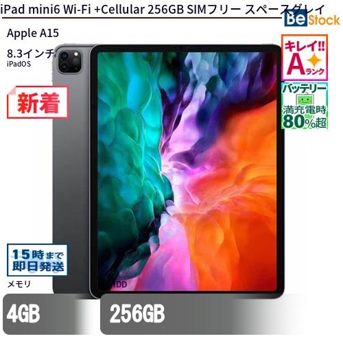 iPad mini6 256GB WiFi+Cellular スペースグレイ 【公式通販】 iPad 