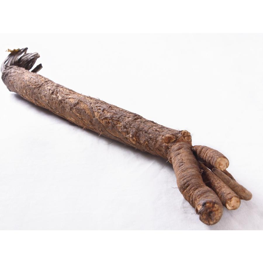 堀川ごぼう茶　ハーブティー　国産　美容　安全　安心　ノンカフェイン　デトックス　免疫アップ　血液　健康　アンチエイジング　ダイエット　お通じ　メタボ |  | 01