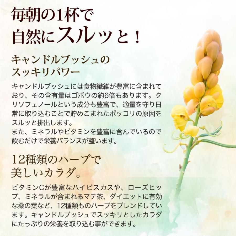 新しくなったゴールデンキャンドルティーデトクリーン 送料無料 ハーブ