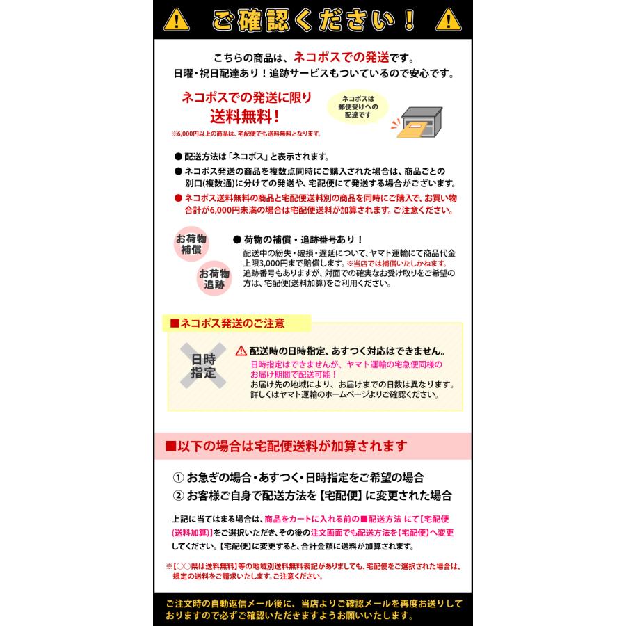 ボトム 単品 レディース フィットネス水着 スイムボトム 水着 裏地付き  