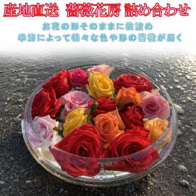わけあり/お得 農家直送 産地直送 バラ 薔薇 花房 生花 詰め合わせ 約