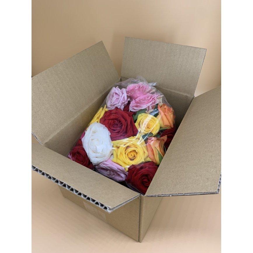 わけあり/お得 農家直送 産地直送 バラ 薔薇 花房 生花 詰め合わせ 約