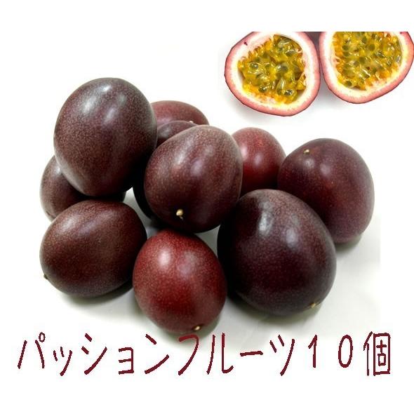 パッションフルーツ 山原産10個 ＋2個サービス 特別セール : okinawa