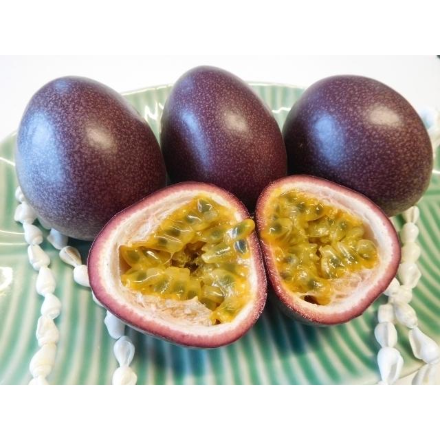 パッションフルーツ 山原産10個 ＋2個サービス 特別セール : okinawa