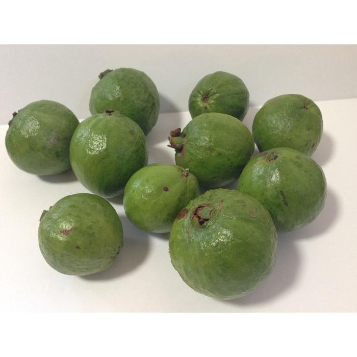 〈現品〉沖縄県産 グアバ(白)Ｂ品 約10.5kg【常温便】2/2 現品〉沖縄県産 グアバ(白)B品 約10.5kg【常温便】2/2