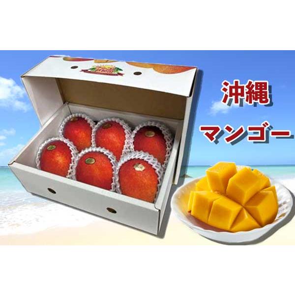 マンゴー 沖縄産マンゴー 約2キロ 良品 カラー写真化粧箱 お中元 送料