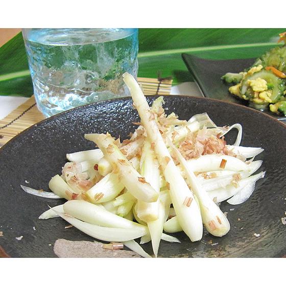 島らっきょう 沖縄島らっきょう 束 約 1キロ : okinawa マリンブルー