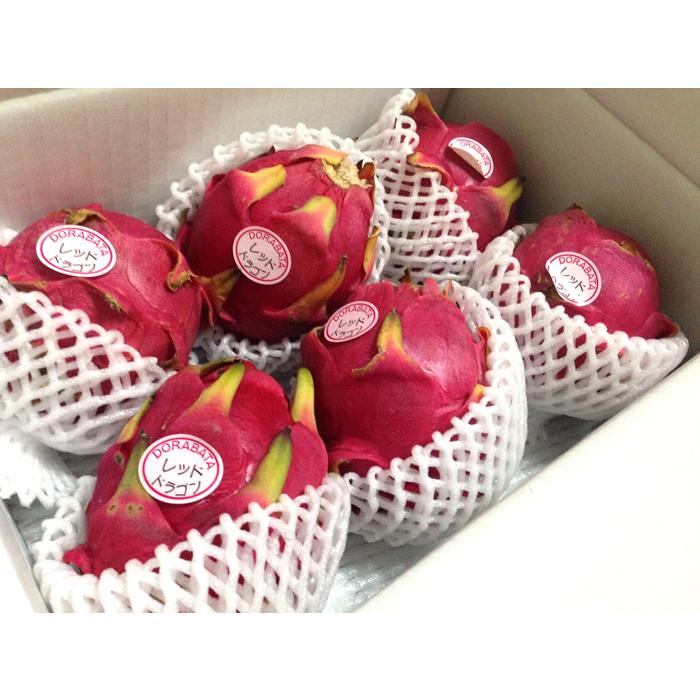 沖縄県産 ドラゴンフルーツ赤 B品 約300g×24 約7.2kg【常温便】① 沖縄県産 ドラゴンフルーツ赤 B品 約300g×24 約7.2kg【常温