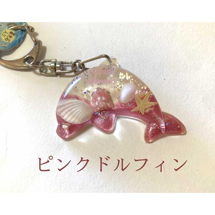 キーホルダー シェル Starfish 星砂 蓄光 ジンベエ イルカ ヒトデ