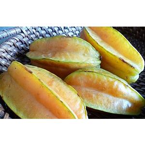 スターフルーツ 完熟タイプ たっぷり 約1キロ以上 訳あり 沖縄産 冷蔵