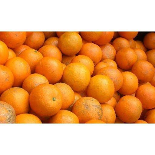 タンカン SからM 約2、5キロ やんばるブランド 甘いたんかん