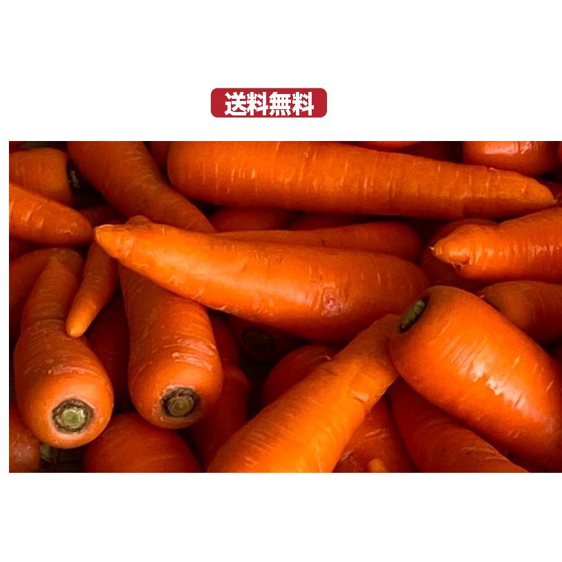 津堅島人参 約4kg津堅島にんじん キャロットアイランド 甘い人参