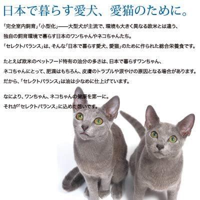 SELECT BALANCE セレクトバランス グレインフリー 猫キトン チキン