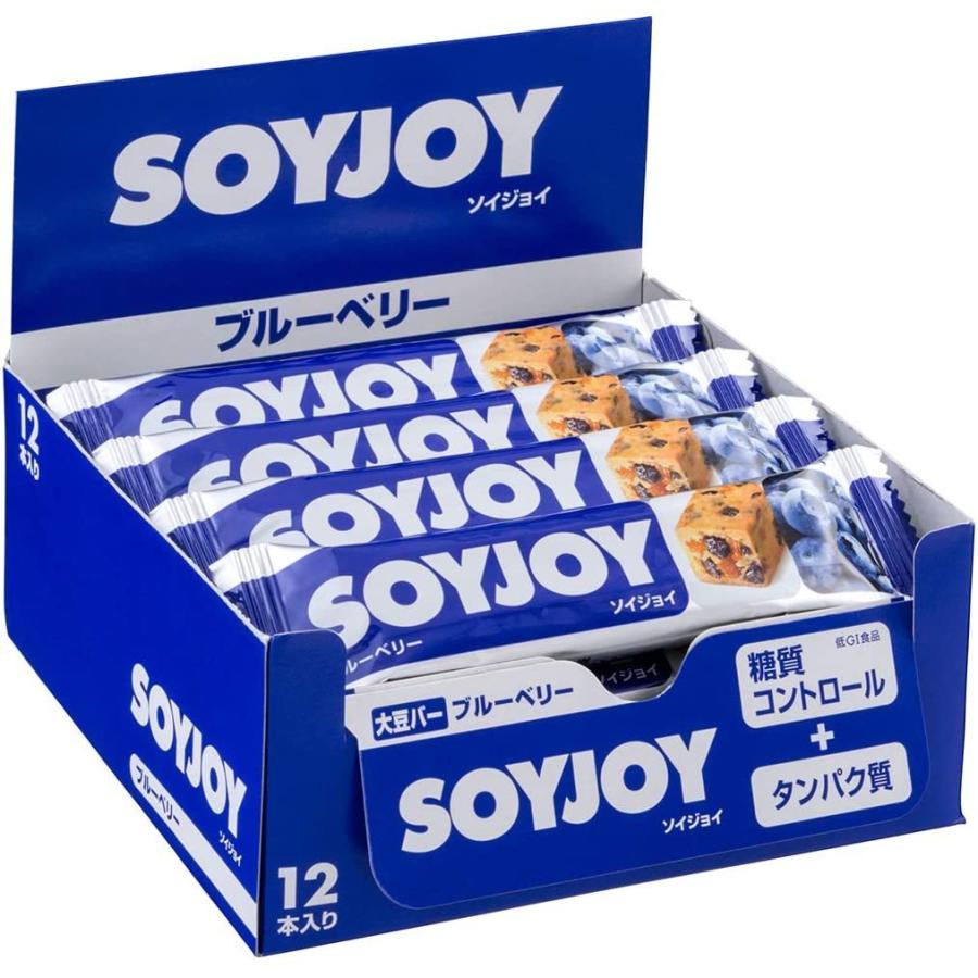 SOYJOY ブルーベリー 96本 大塚製薬 ソイジョイ ブルーベリー 30g×96本 (2c/s) : ビーズストア