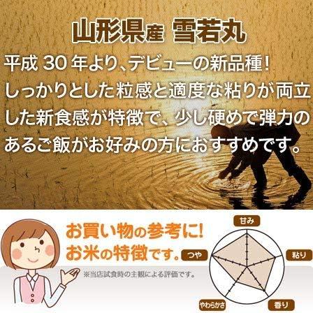 つや姫・はえぬき・雪若丸の3種類から選べる山形県産精米2kg×5袋