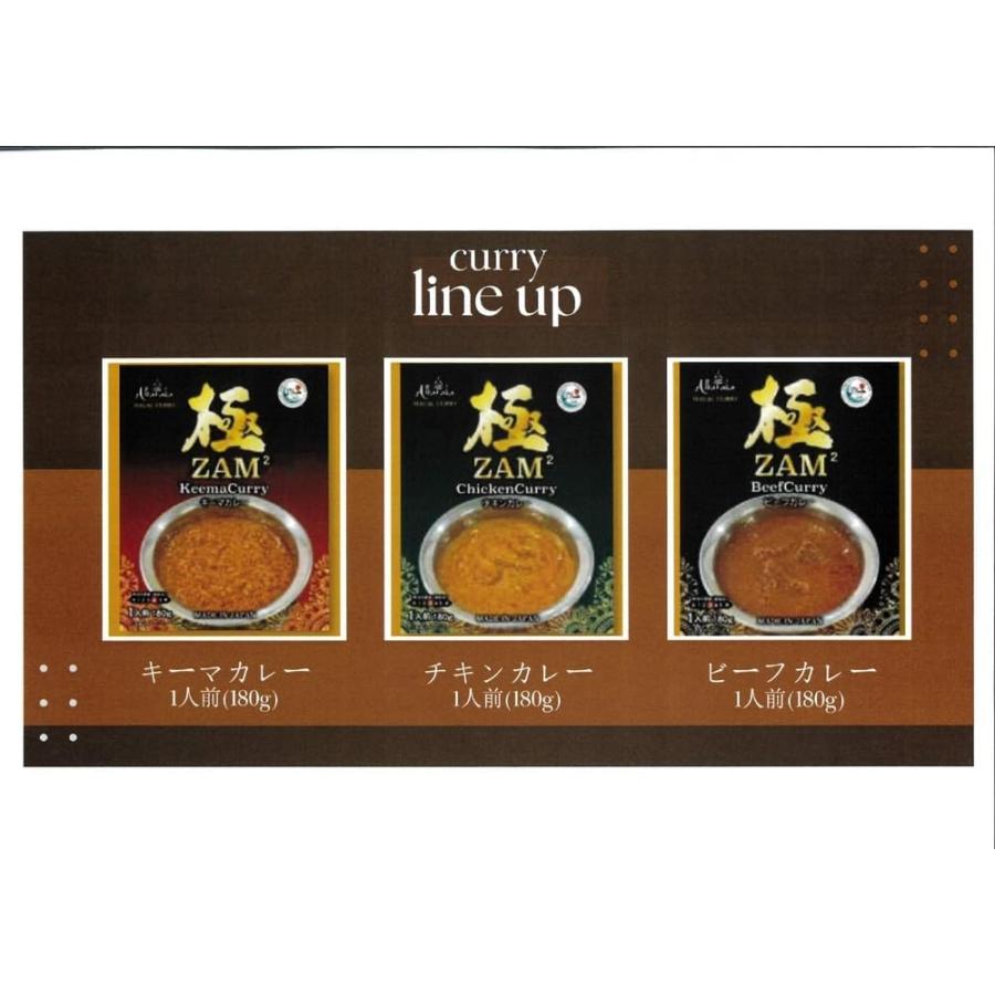ZAM 英国風インドカレー 選べる6箱セット (3種×各2個) ハラール認証