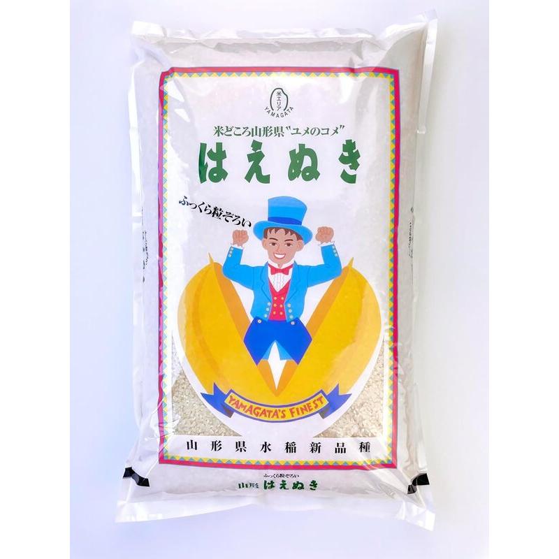 はえぬき 山形県産はえぬき精米5kg×2袋 （合計10kg） 令和7年度