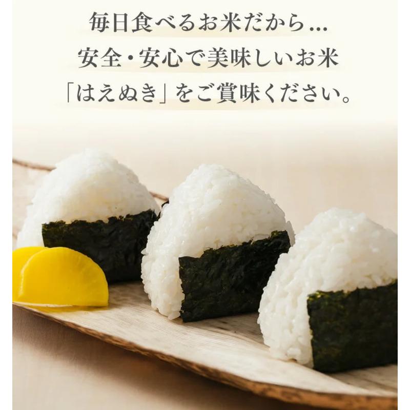 はえぬき 山形県産はえぬき精米5kg×2袋 （合計10kg） 令和7年度
