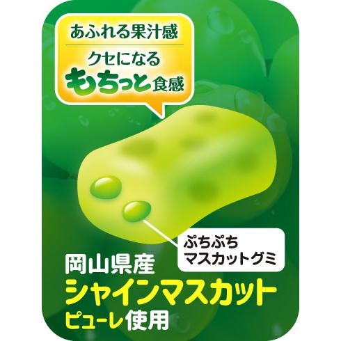 UHA味覚糖 味覚糖 ぷっちょスティック シャインマスカット 10粒×10個