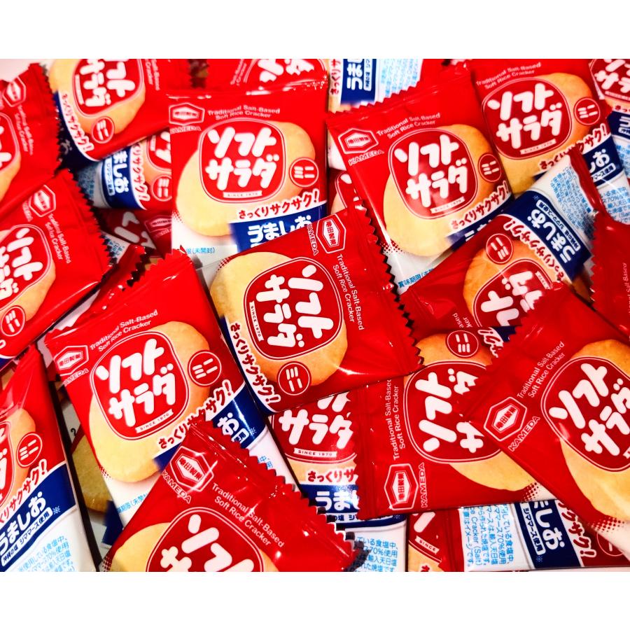 亀田製菓 ソフトサラダミニ 1枚×100袋 （50袋×2B） 訳あり おせんべい