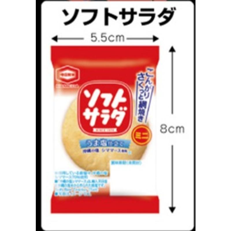 亀田製菓 ソフトサラダミニ 1枚×100袋 （50袋×2B） 訳あり おせんべい