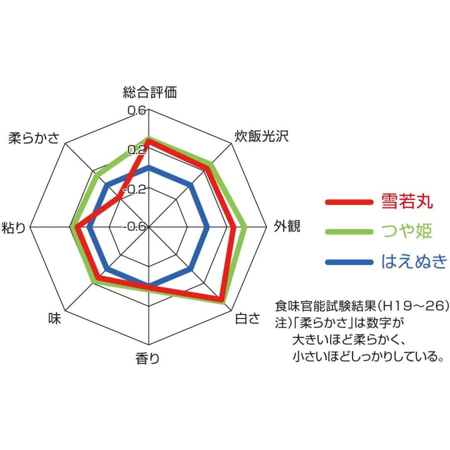 つや姫 山形県産つや姫精米5kg×2袋 （合計10kg） 令和7年度産