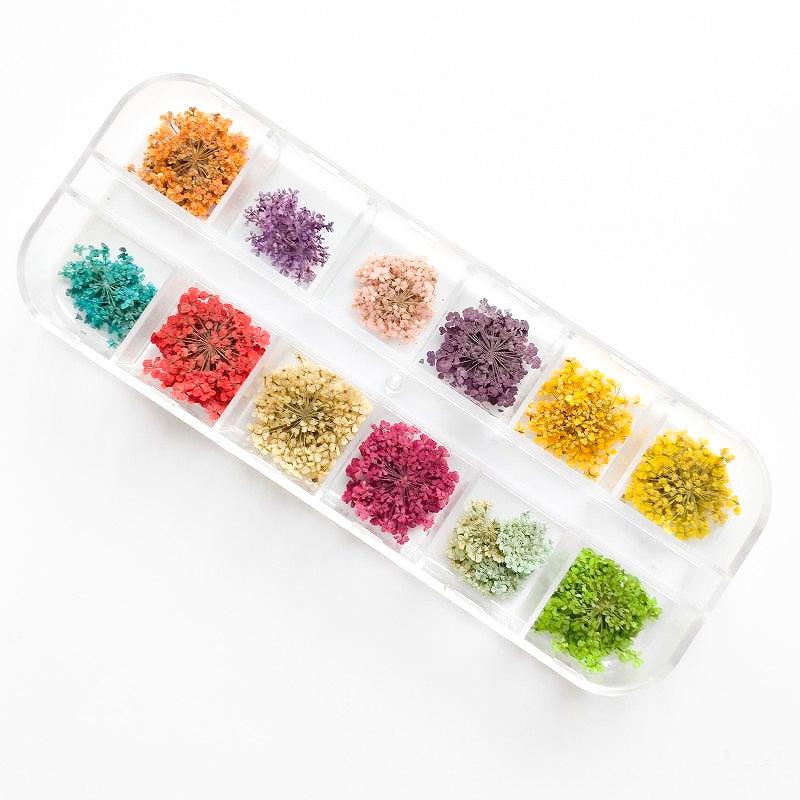 ドライフラワー レースフラワー 押し花 レジン ネイル ケース入り ビーズクラブ ビーズクラブ 通販 Yahoo ショッピング