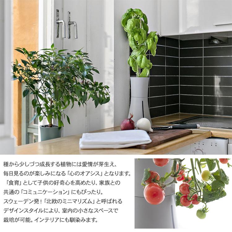 LED 水耕栽培 観葉植物 花 野菜 ハーブ 家庭菜園 簡単 おしゃれ 北欧