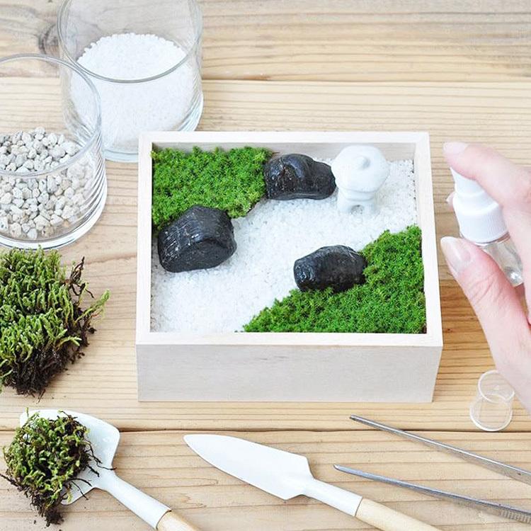 ガーデニング 栽培キット 室内 テラリウム コケ こけ 鑑賞 癒し 盆景 手作り 工作 キット ハンドメイド 栽培キット テラリウム 苔 キット 苔盆 Bm Rooming 通販 Yahoo ショッピング