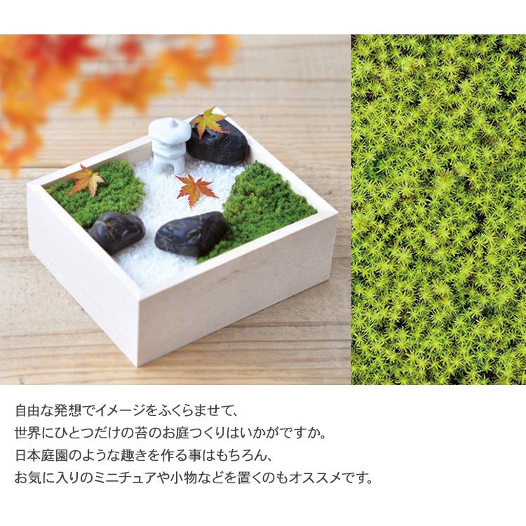 ガーデニング 栽培キット 室内 テラリウム コケ こけ 鑑賞 癒し 盆景 手作り 工作 キット ハンドメイド 栽培キット テラリウム 苔 キット 苔盆 Bm Rooming 通販 Yahoo ショッピング