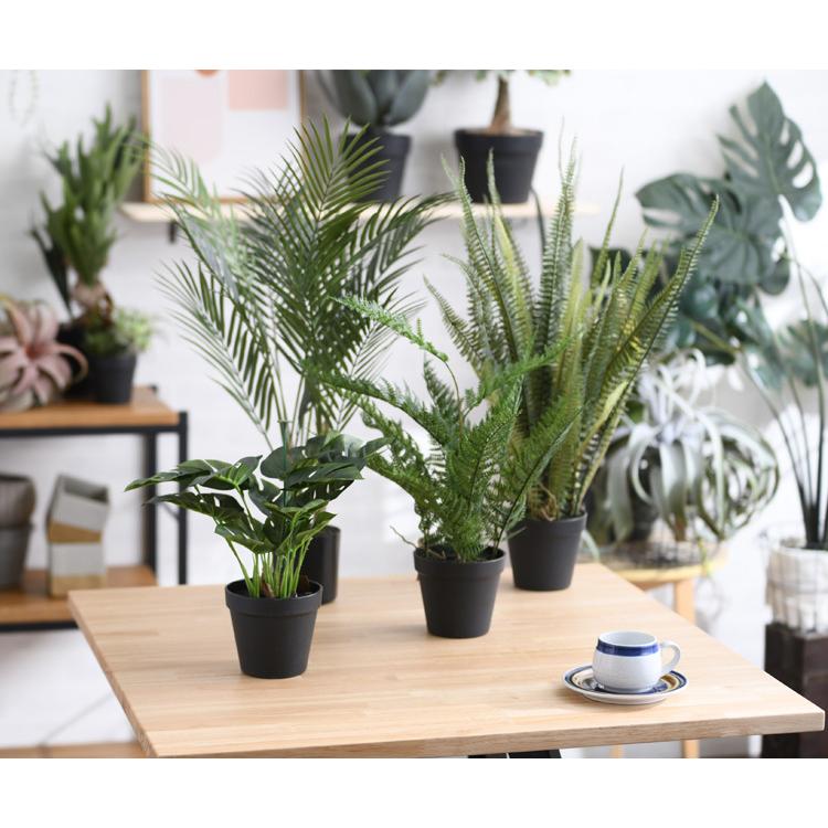 観葉植物 フェイクグリーン インテリアグリーン 卓上 ミニ Brown