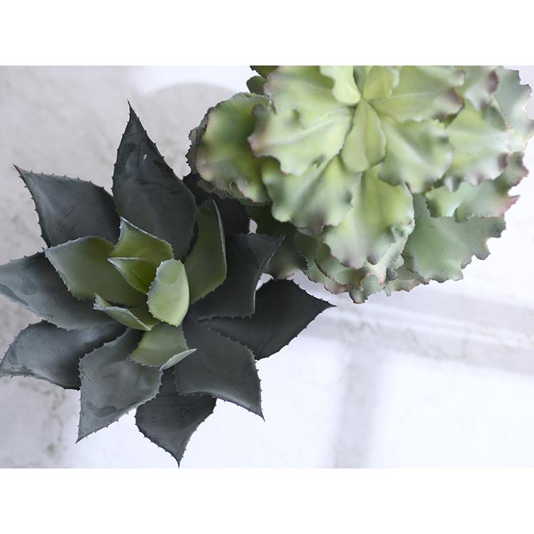 【インテリアグリーン】【多肉植物】【フェイクグリーン】【観葉植物】 楽天市場】送料無料 フェイクグリーン 単品 鉢植え 造花 人工多肉植物