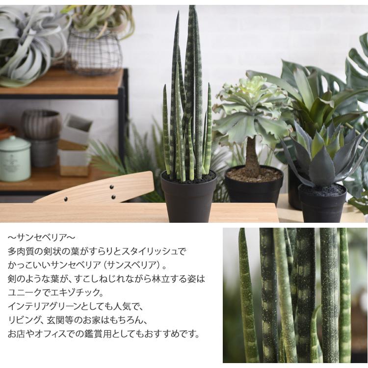 観葉植物 フェイクグリーン インテリアグリーン 多肉 多肉植物 Brown