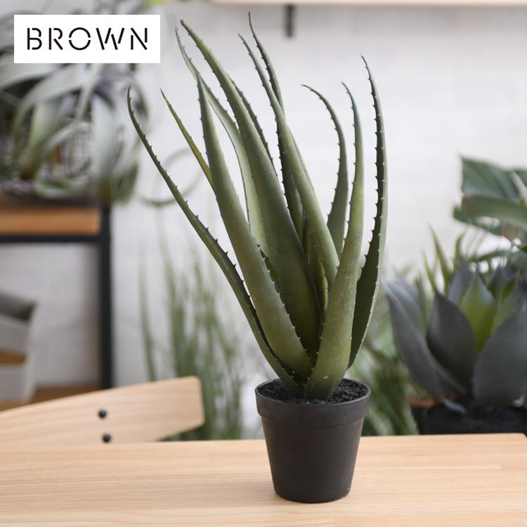観葉植物 フェイクグリーン ボタニカル 造花 おしゃれ ポット 小さい インテリア 癒し リラックス Brown ブラウン アロエベラ ポット 48 Bm Rooming 通販 Yahoo ショッピング