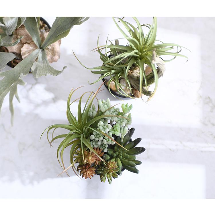 観葉植物 フェイクグリーン インテリアグリーン 卓上 ミニ 多肉植物