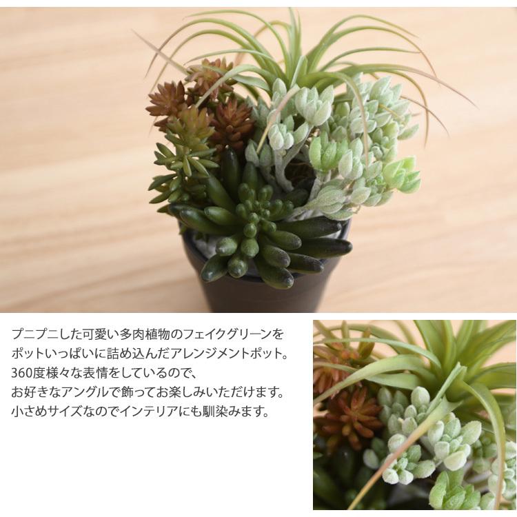 観葉植物 フェイクグリーン インテリアグリーン 卓上 ミニ 多肉 多肉