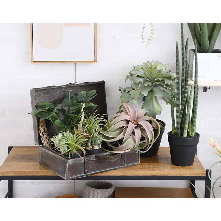 観葉植物 フェイクグリーン インテリアグリーン 卓上 ミニ 多肉 多肉