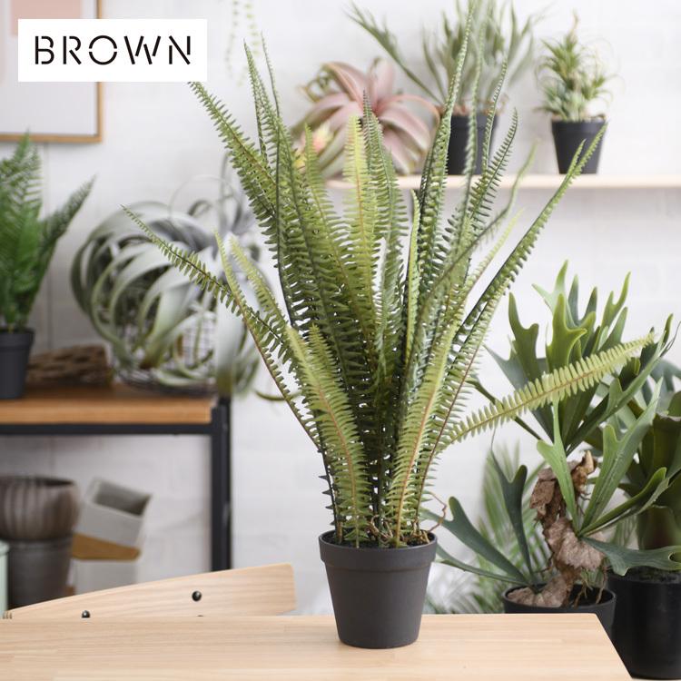 観葉植物 フェイクグリーン インテリアグリーン タマシダ ツデー Brown