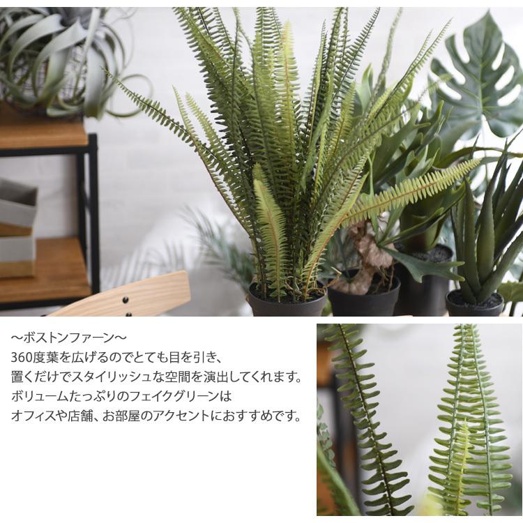 観葉植物 フェイクグリーン インテリアグリーン タマシダ ツデー Brown
