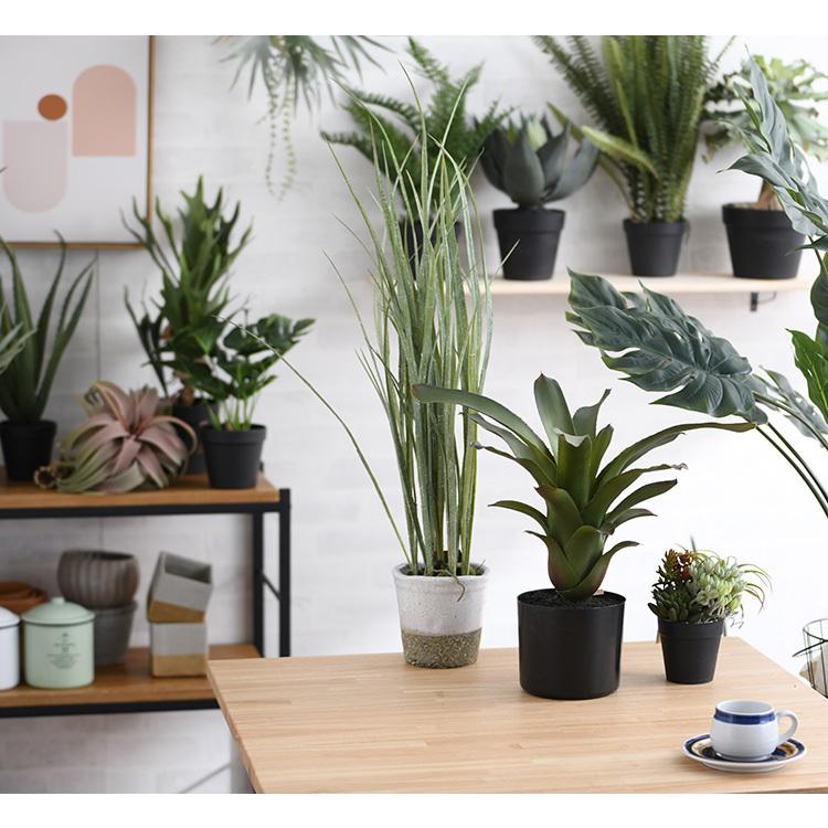 【フェイクグリーン】Brown. ブラウン アロカシア プランターカバー付き 観葉植物 フェイクグリーン ボタニカル 造花 おしゃれ ポット Brown