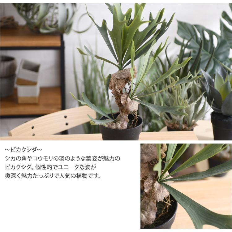 観葉植物 フェイクグリーン インテリアグリーン コウモリラン 卓上
