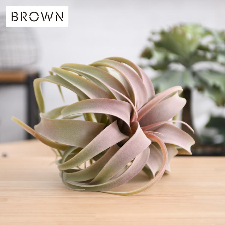 観葉植物 フェイクグリーン ボタニカル 造花 おしゃれ ポット 小さい インテリア ディスプレイ Brown ブラウン キセログラフィカ ピック レッド Bm Rooming 通販 Yahoo ショッピング