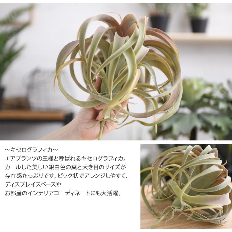 観葉植物 造花 フェイクグリーン インテリアグリーン 卓上 ミニ エア