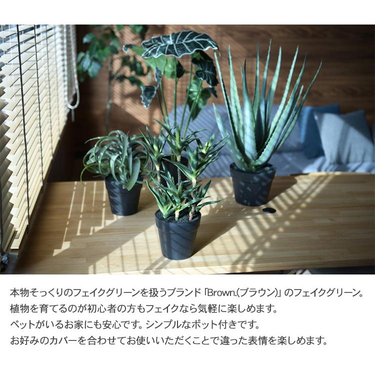 観葉植物 フェイクグリーン インテリアグリーン 卓上 ミニ Brown