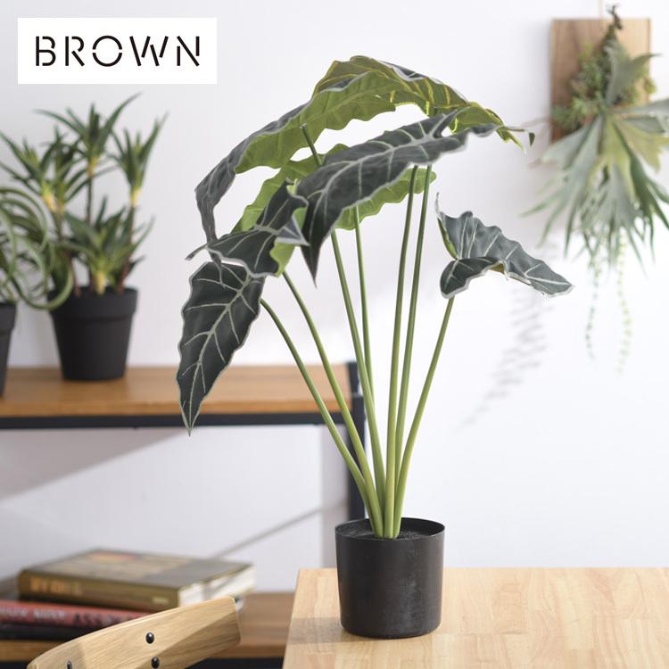 【フェイクグリーン】Brown. ブラウン アロカシア プランターカバー付き 観葉植物 フェイクグリーン インテリアグリーン 北欧 ンテリア Brown